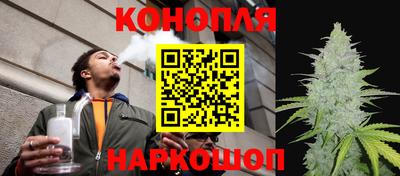 дживик Славгород