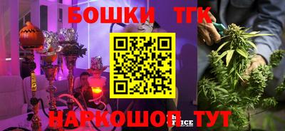 ешки Сланцы