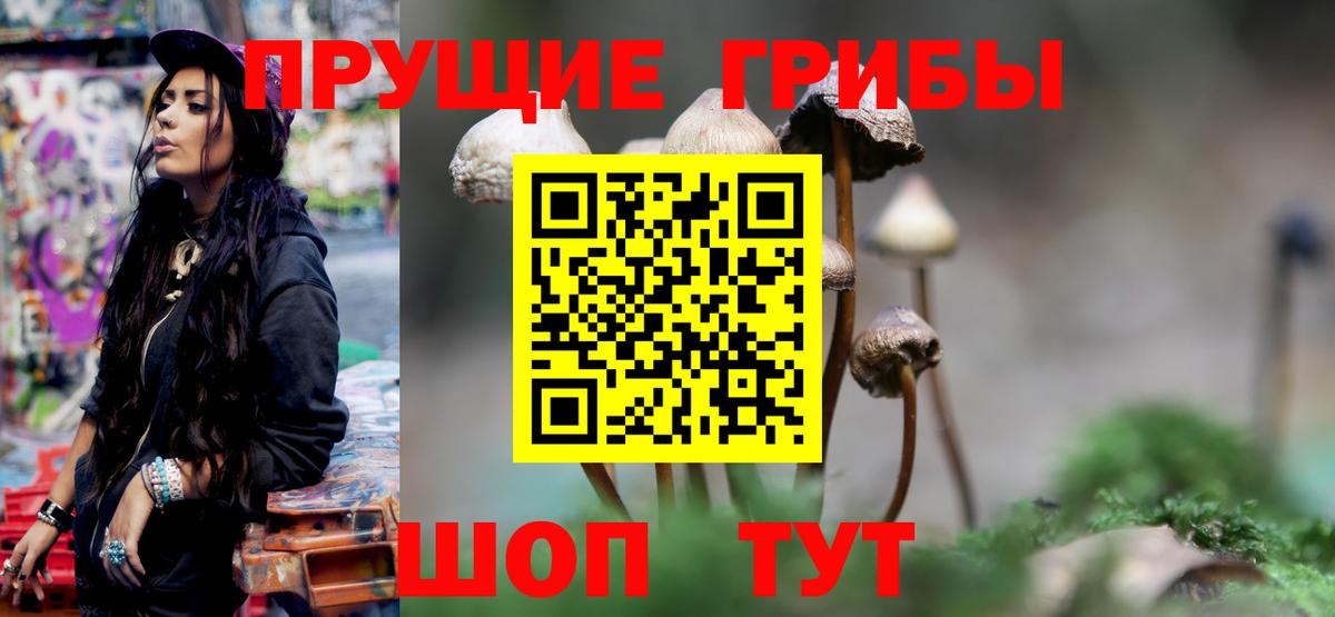 Мытищи  Галлюциногенные грибы мухоморы  Псилоцибиновые грибы прущие грибы  Вход с VPN 